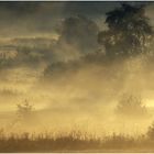 Frühnebel im oberen Wiedtal