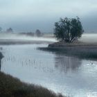 Frühnebel im Oberengadin