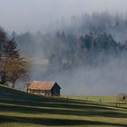 Frühnebel im Pfändergebiet