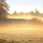 Frühnebel im September