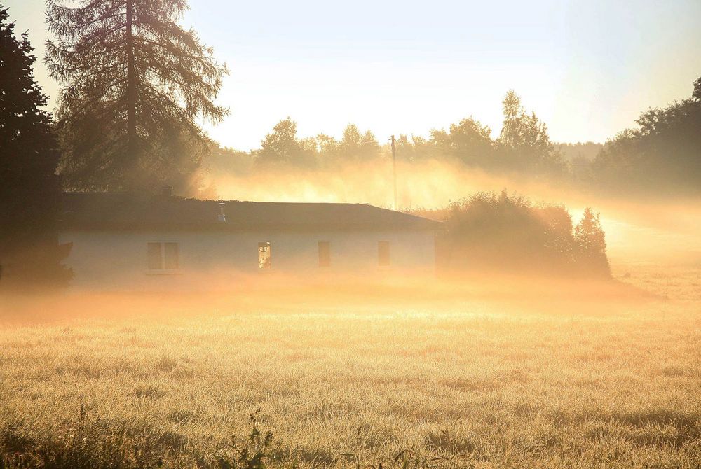 Frühnebel im September