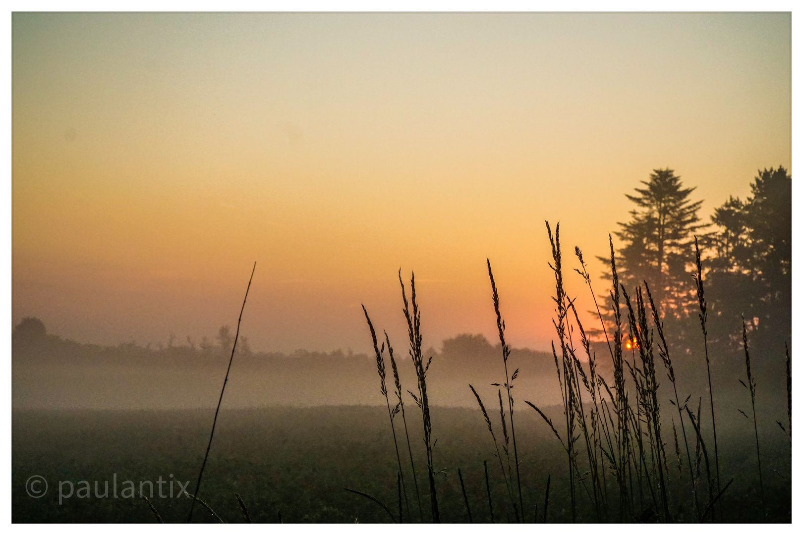 Frühnebel im Sommer