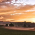 Frühnebel im Sonnenlicht