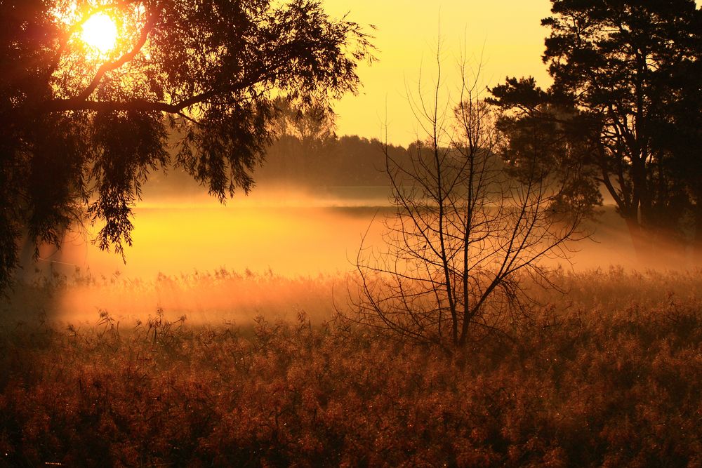 Frühnebel im Spätsommer