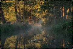 Frühnebel im Spreewald
