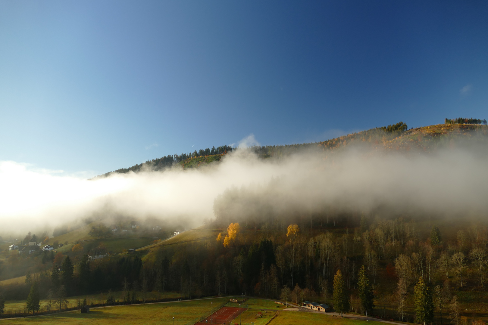 °°°° Frühnebel im Tonbachtal °°°°