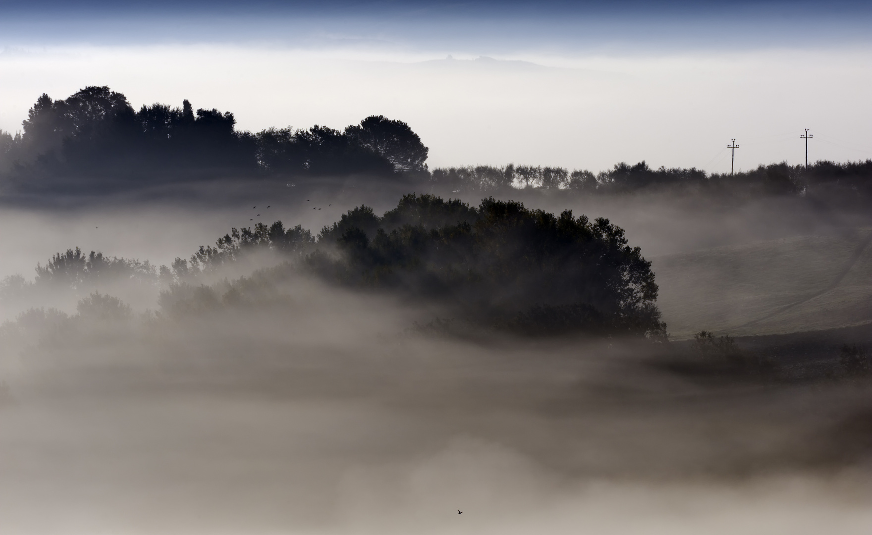 Frühnebel im Val d'Orcia