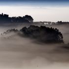 Frühnebel im Val d'Orcia