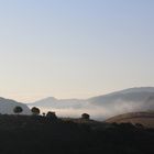 Frühnebel im Westen Korsikas