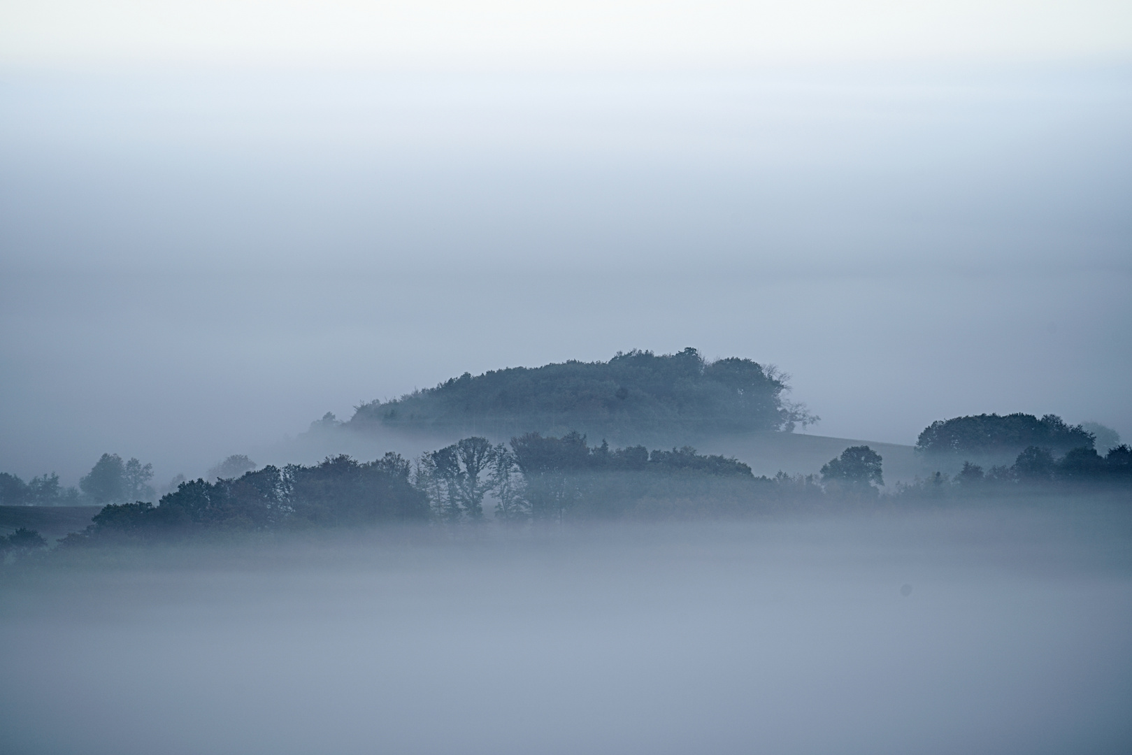 Frühnebel im Westerwald