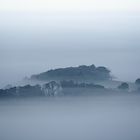 Frühnebel im Westerwald