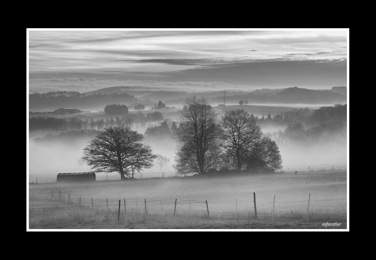 Frühnebel im Westerwald