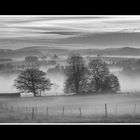 Frühnebel im Westerwald