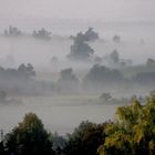 Frühnebel im Westerwald