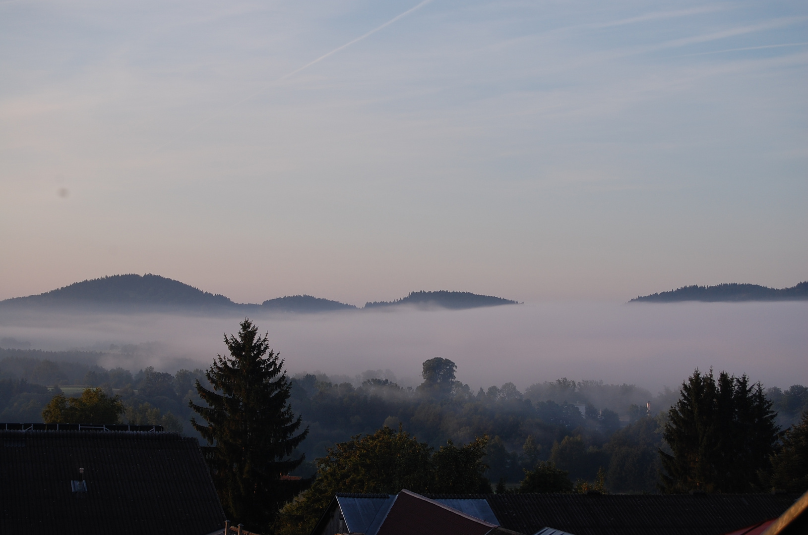 Frühnebel in Aigen