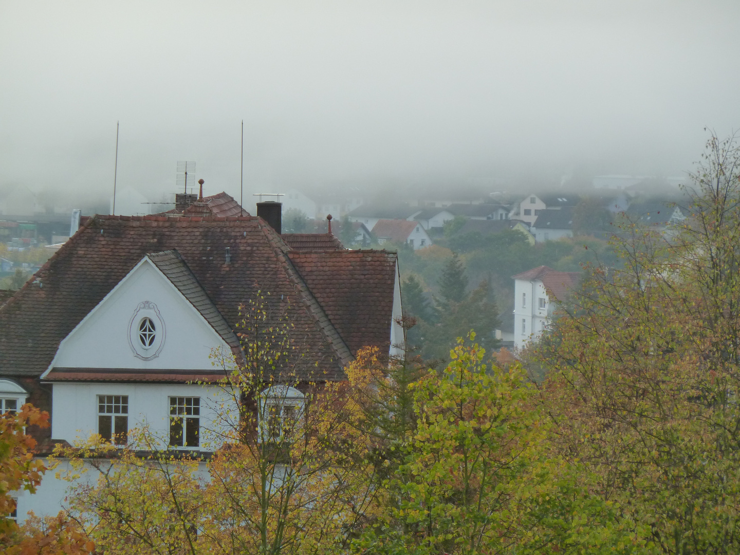 Frühnebel in Bad Wildungen