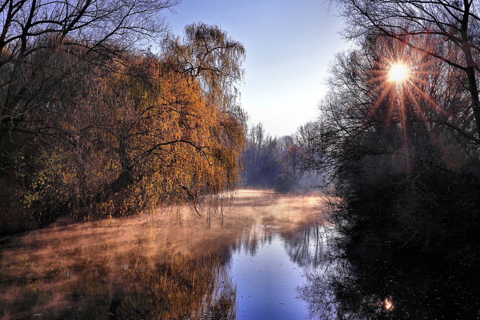 Frühnebel in den Lippeauen