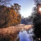 Frühnebel in den Lippeauen