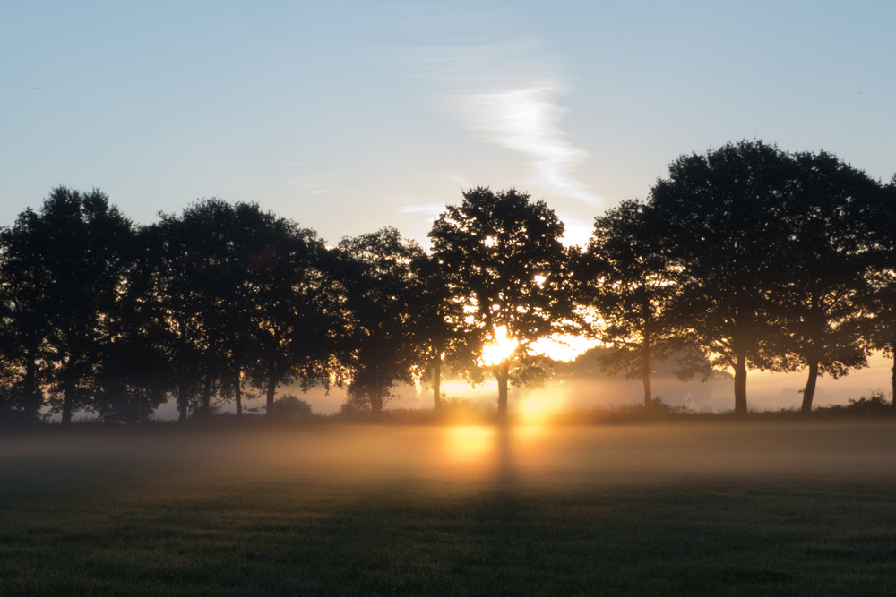 Frühnebel in der Dingdener Heide