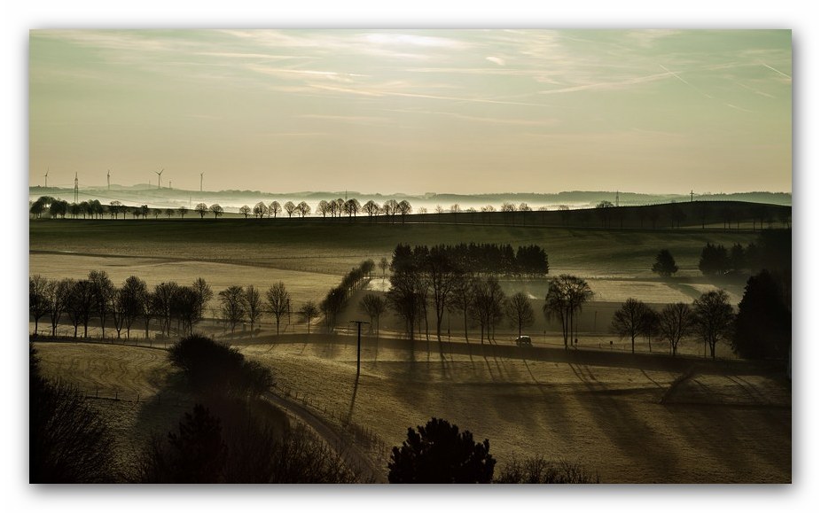 Frühnebel in der Eifel