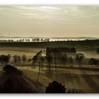 Frühnebel in der Eifel