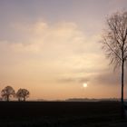 Frühnebel in der Heide