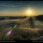 Frühnebel in der Sächsischen Schweiz