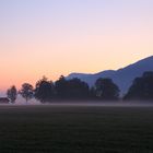 Frühnebel in der Schwangauer Landschaft