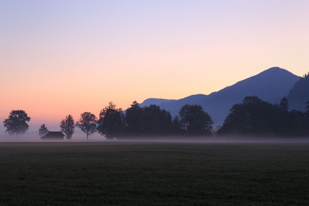 Frühnebel in der Schwangauer Landschaft