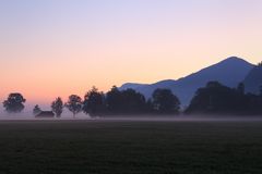 Frühnebel in der Schwangauer Landschaft