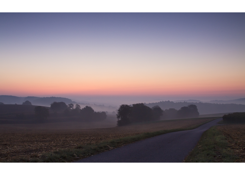 Frühnebel in meinem Revier