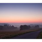 Frühnebel in meinem Revier