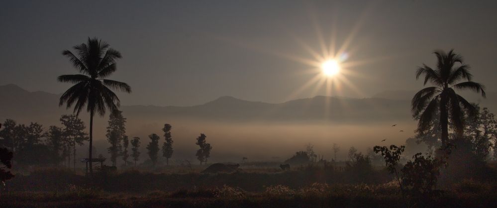 Frühnebel in Nordthailand ©