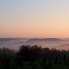 Frühnebel in Prombach