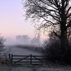 Frühnebel in Schleswig