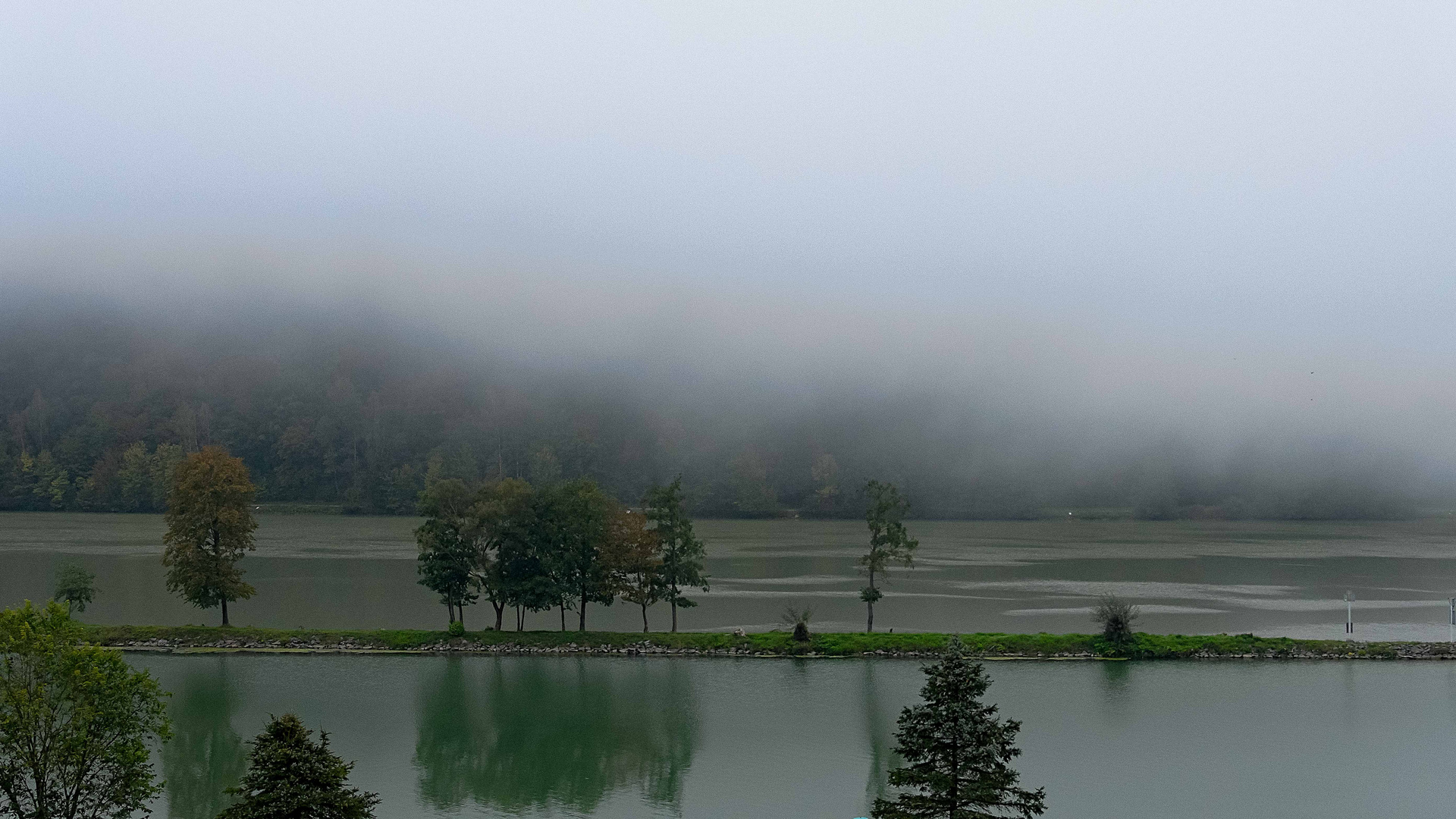 Frühnebel in Schlögen