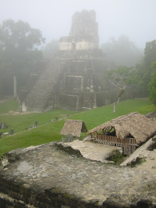 Frühnebel in Tikal