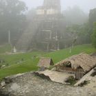 Frühnebel in Tikal