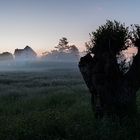 Frühnebel in Vitte-Schulweg