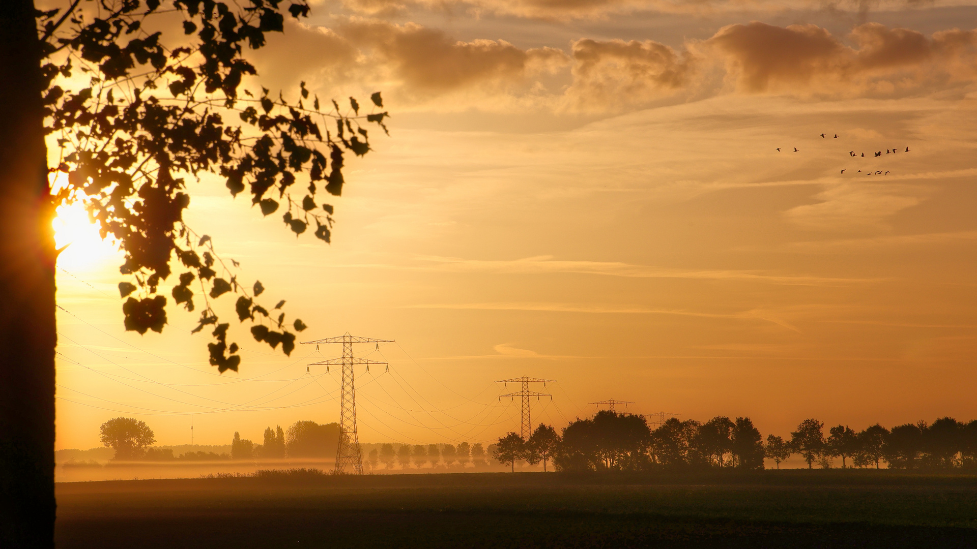 Frühnebel in Zeeland