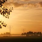 Frühnebel in Zeeland