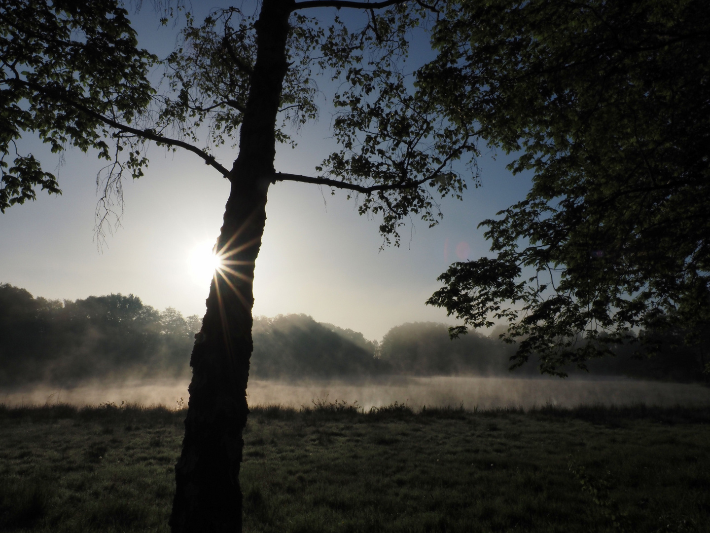 Frühnebel mit Sonnenstrahlen