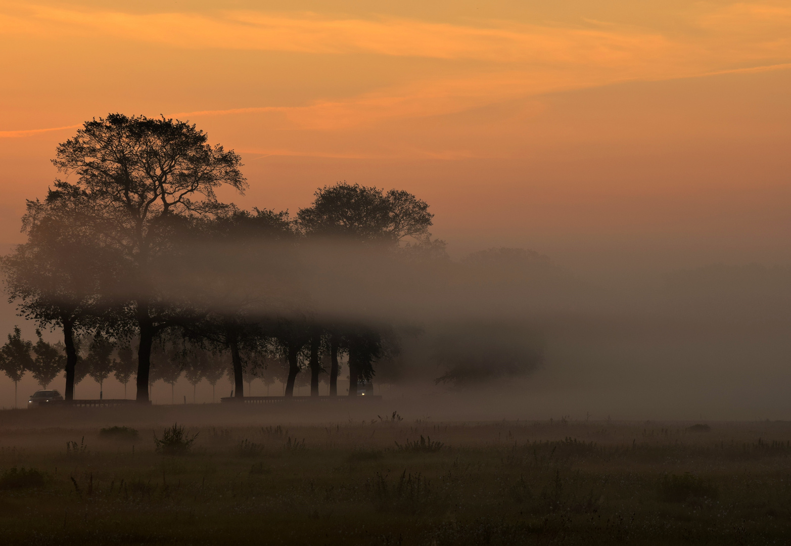 Frühnebel & Morgenrot