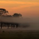 Frühnebel & Morgenrot