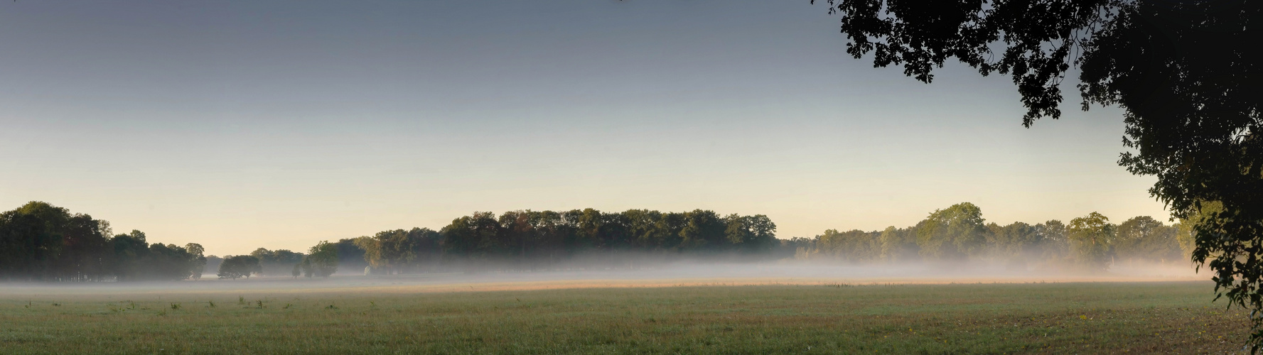 Frühnebel-Panorama 1