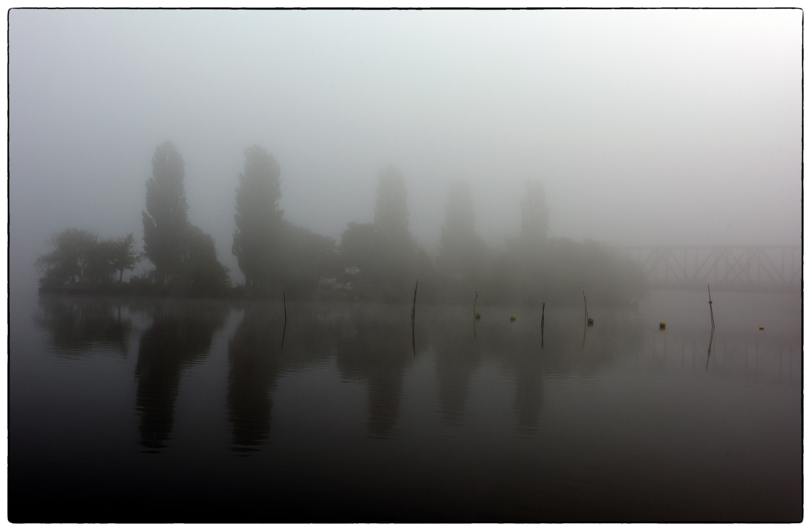 Frühnebel spiegelt sich in der Havel