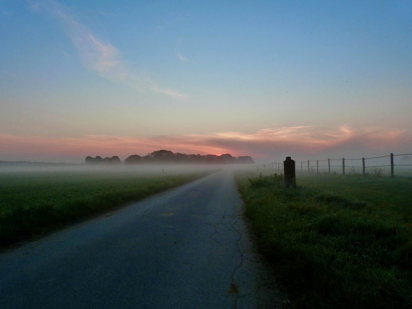 Frühnebel über dem Feld