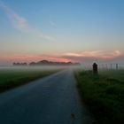 Frühnebel über dem Feld