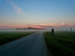 Frühnebel über dem Feld