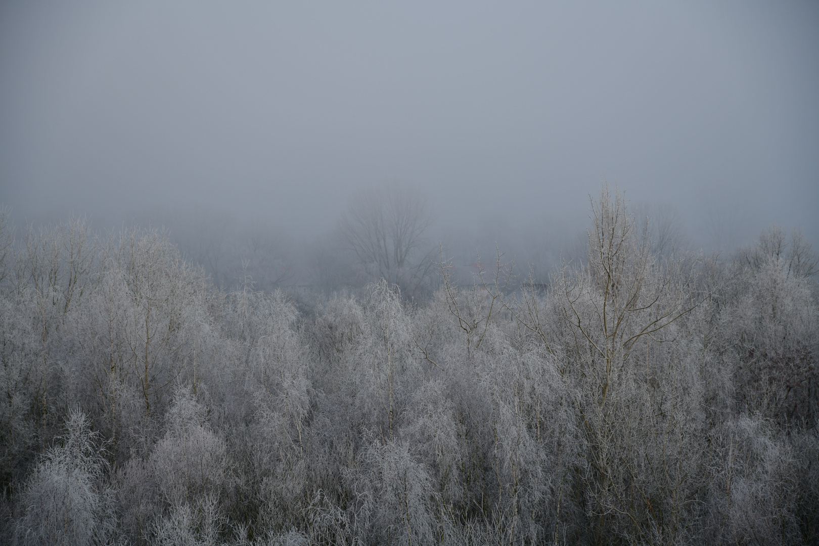 Frühnebel über dem Nordviertel